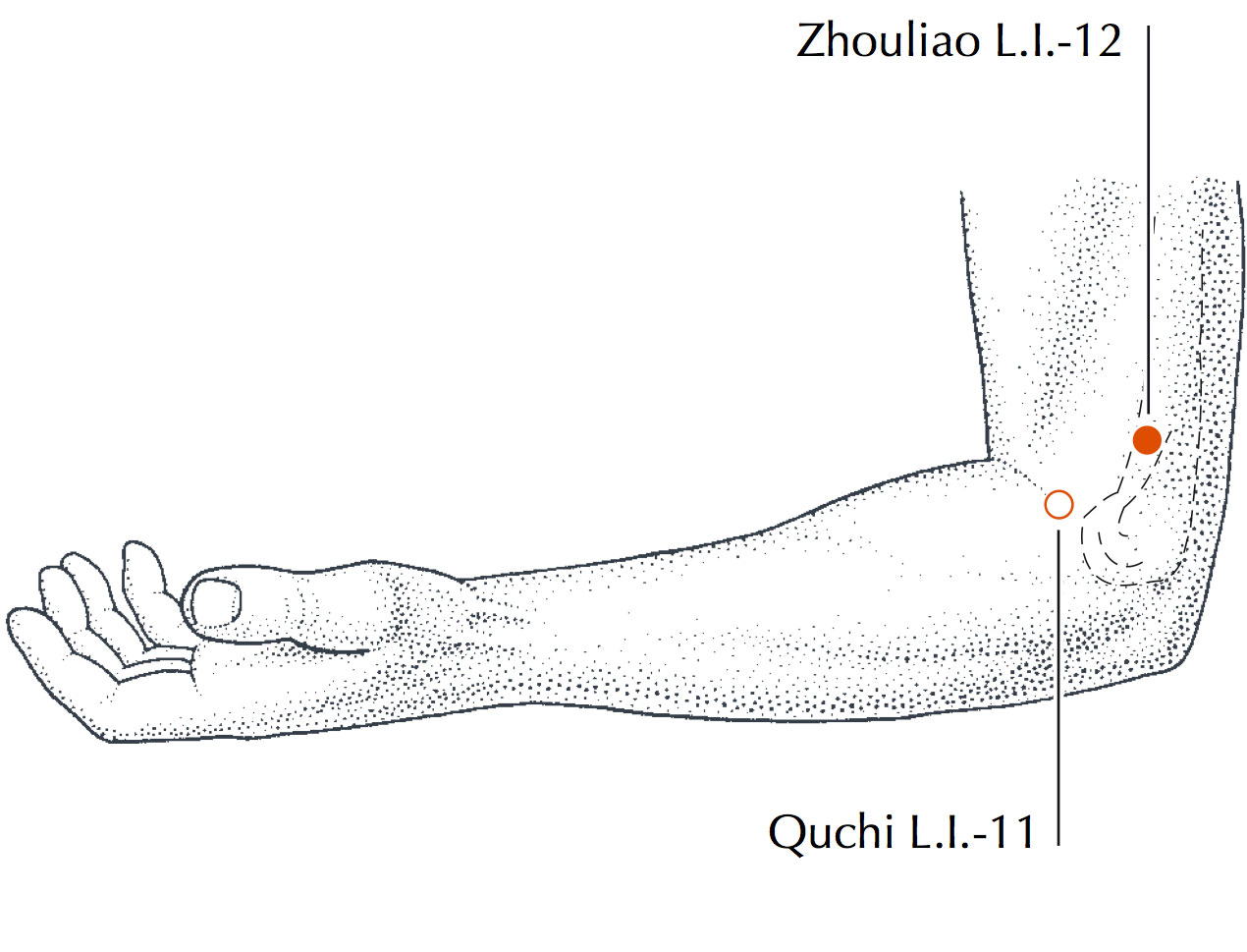 نقطه Li-12 در طب سوزنی