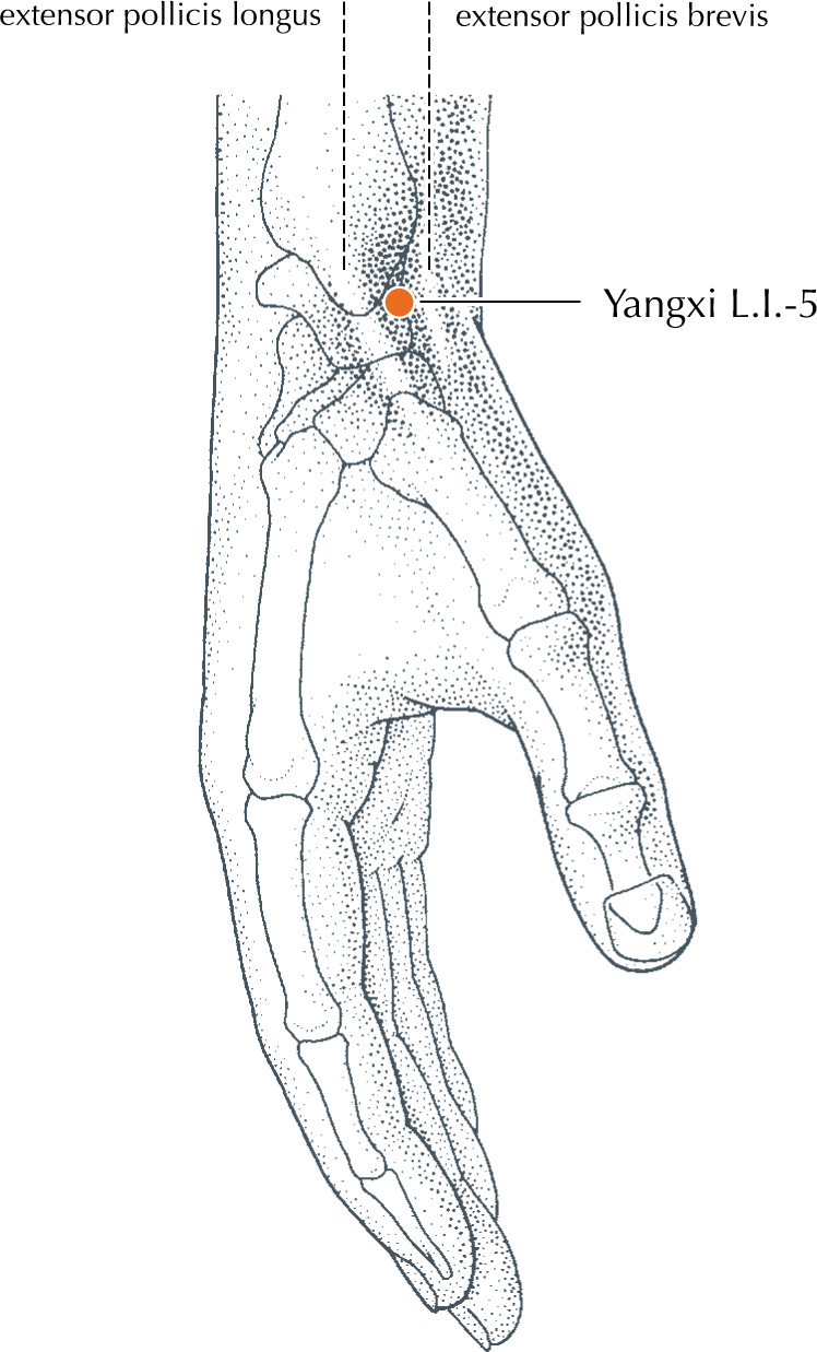 نقطه Li-5 در طب سوزنی